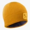 Salomon Logo Beanie (Autumn Blaze/Citrus) -Nike Store 18971DD3 061F 462F A3AB 283688CE3430