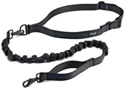 Stunt Runner Leash